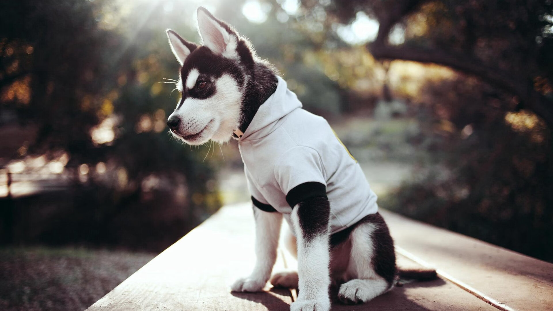 开yun体育-中国足球推动“足球+”多元融合发展战略，中国足球发展面临的机遇与挑战