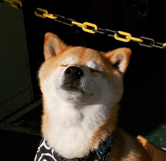 中国高尔夫球协会推动赛事国际化进程，中国高尔夫协会正式成立时间