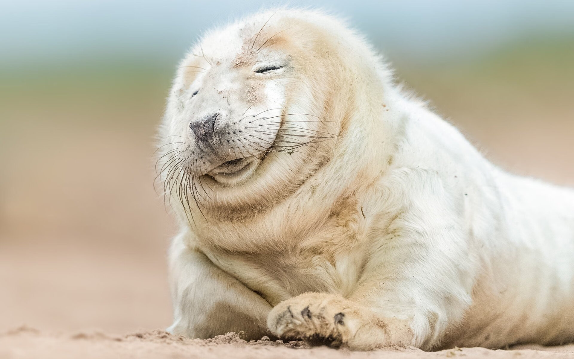 冰雪嘉年华:冬季运动的欢乐盛会,冰雪嘉年华活动